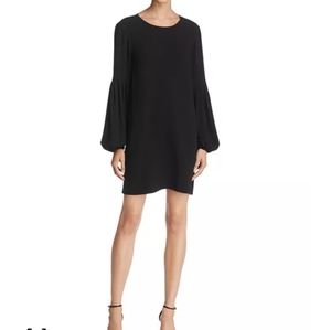 Elizabeth and James dress